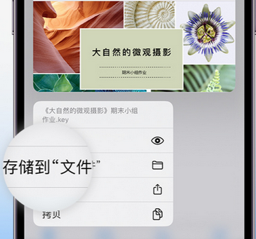 二连浩特apple维修中心分享iPhone文件应用中存储和找到下载文件