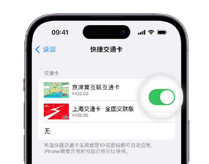 二连浩特apple维修点分享iPhone上更换Apple Pay快捷交通卡手绘卡面 