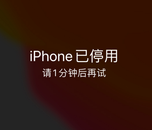 二连浩特苹果手机维修分享:iPhone 显示“不可用”或“已停用”怎么办？还能保留数据吗？ 