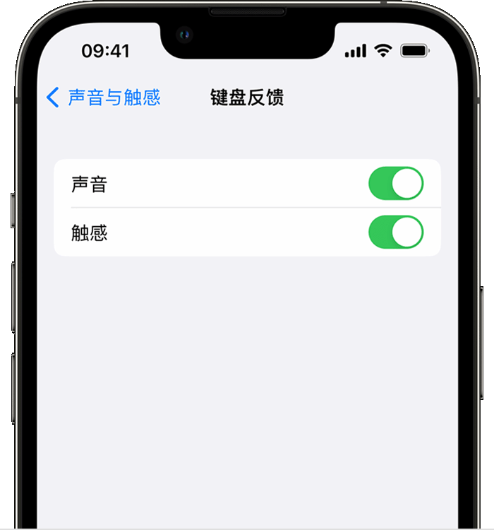 二连浩特苹果14维修店分享如何在 iPhone 14 机型中使用触感键盘 