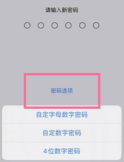 二连浩特苹果14维修分享iPhone 14plus设置密码的方法 