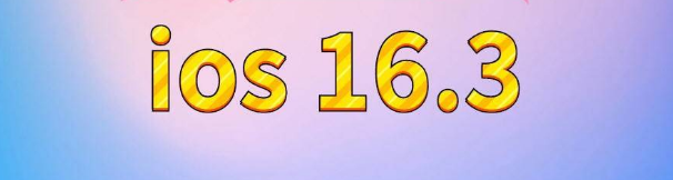 二连浩特苹果服务网点分享苹果iOS16.3升级反馈汇总 