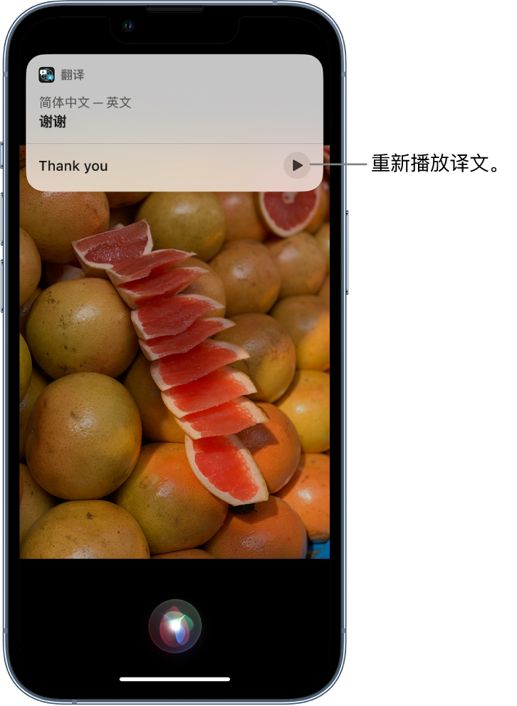 二连浩特苹果14维修分享 iPhone 14 机型中使用 Siri：了解 Siri 能帮你做什么 