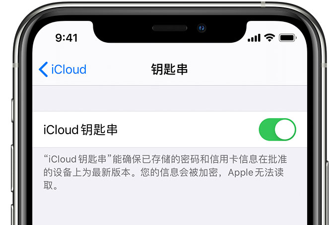 二连浩特苹果手机维修分享在 iPhone 上开启 iCloud 钥匙串之后会储存哪些信息 