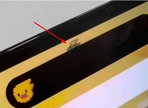 二连浩特苹果14维修分享iPhone 14 Pro Max灵动岛怎么养宠物 