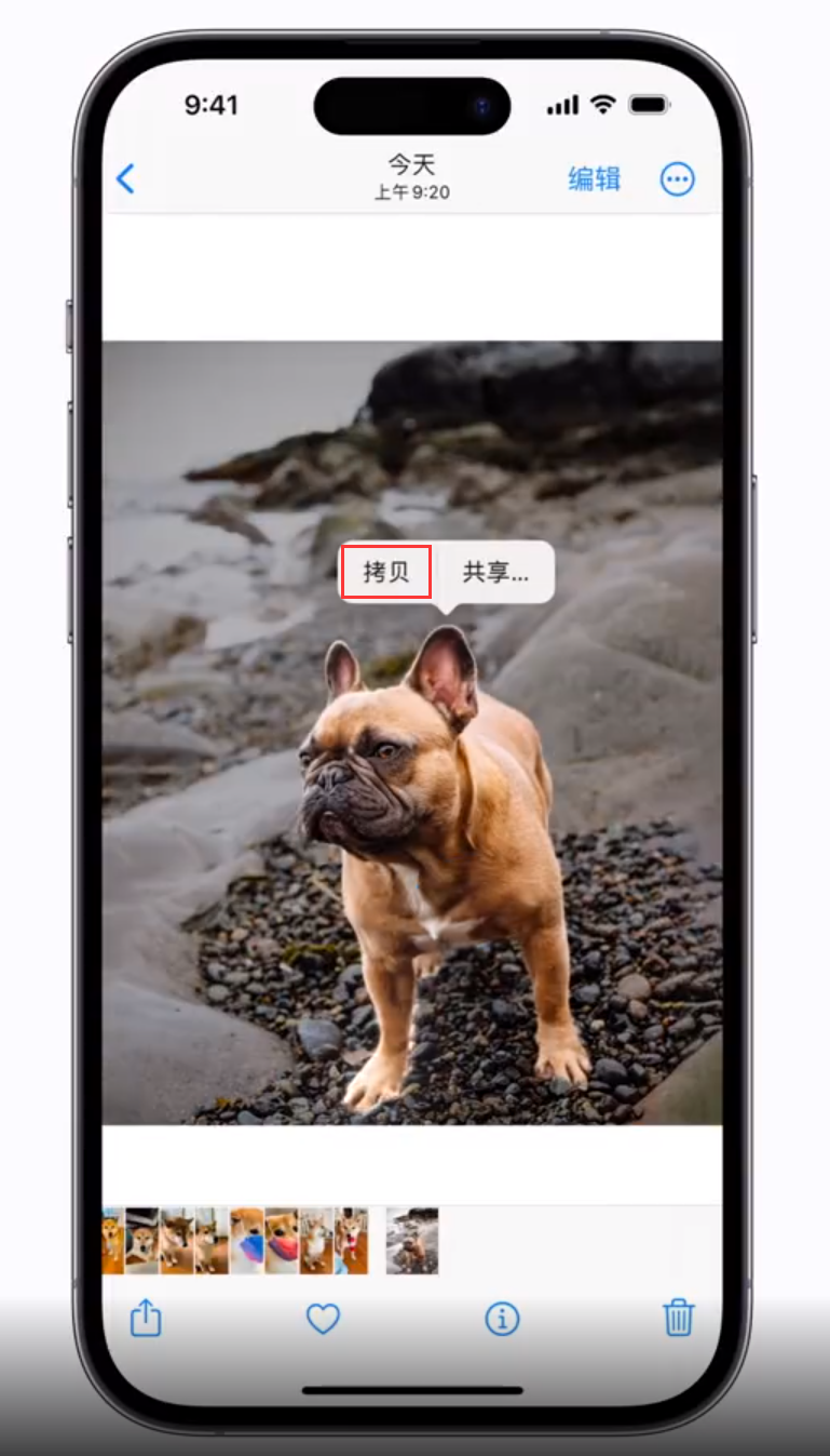 二连浩特苹果手机维修分享 iOS 16 自带一键抠图功能 