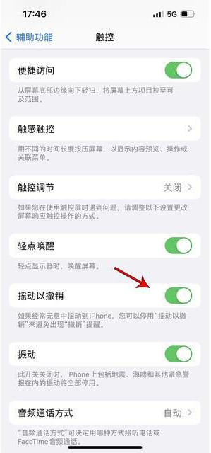 二连浩特苹果手机维修分享iPhone手机如何设置摇一摇删除文字 